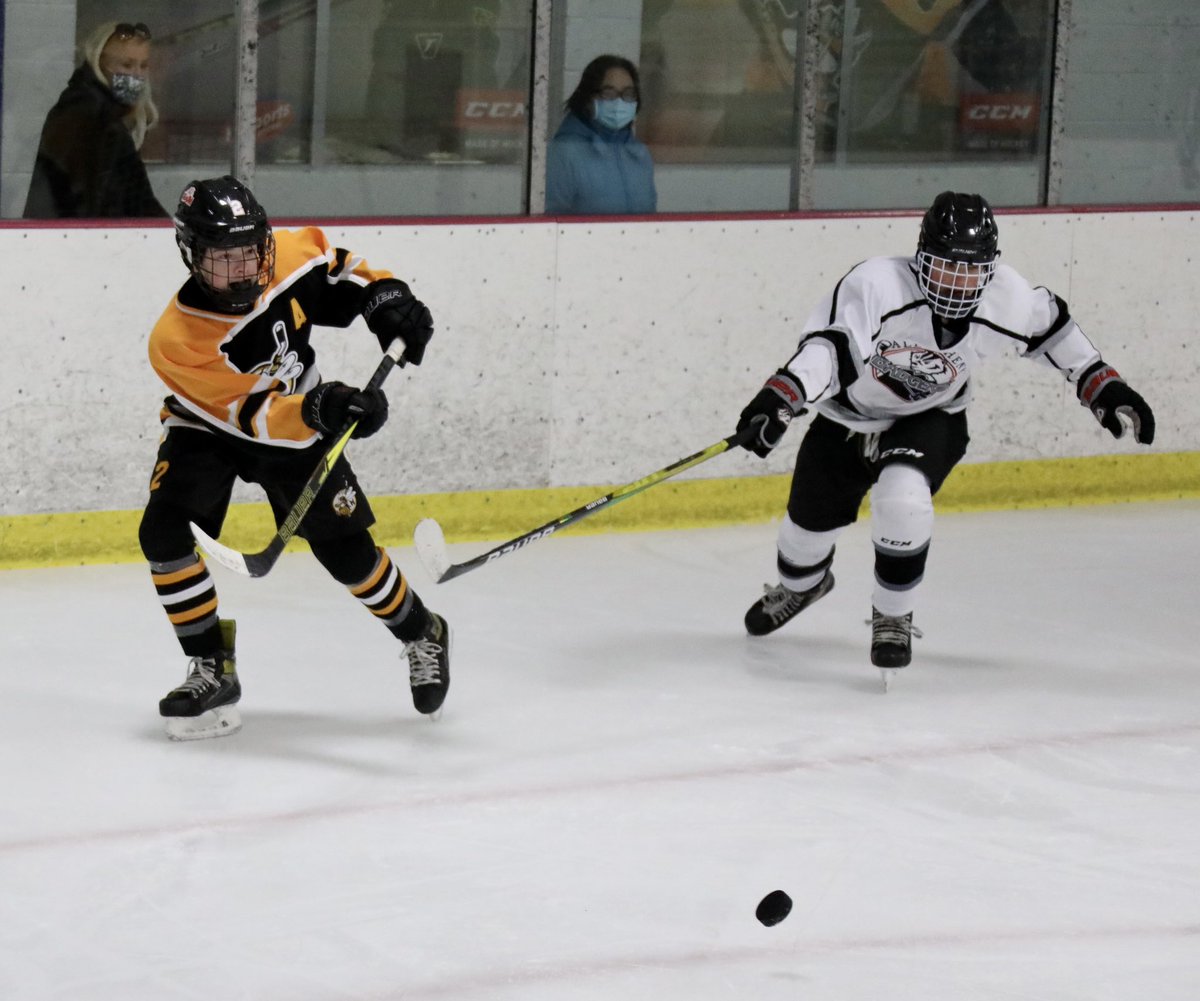 Himes412's tweet photo. Rough Start!
After 1 period here at #CenterIceArena 

#Hornets 1
#Badgers 4

Shots: MLH-3  AVA-11
#SundayFunday #MtLebanon #AlleghenyValley #PAHL #Bantam #HockeyTwitter https://t.co/pTBY6NubIC