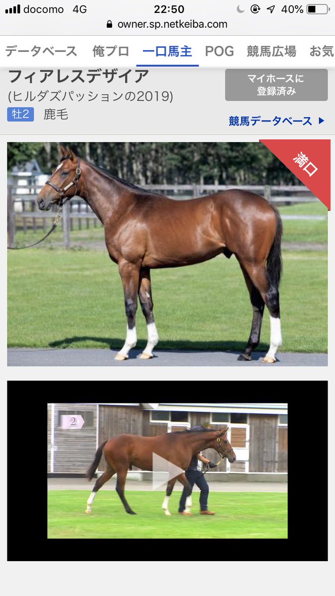 daruma1024's tweet photo. キャロットクラブ2019年度産駒出資馬①の名前が決まりました。
お高い馬なので期待してます。 https://t.co/4VoaGEGaz2