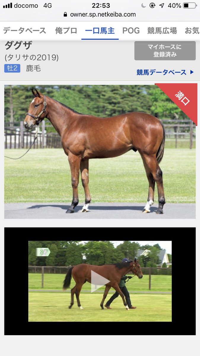 daruma1024's tweet photo. キャロットクラブ2019年度産駒出資馬①の名前が決まりました。
お高い馬なので期待してます。 https://t.co/4VoaGEGaz2