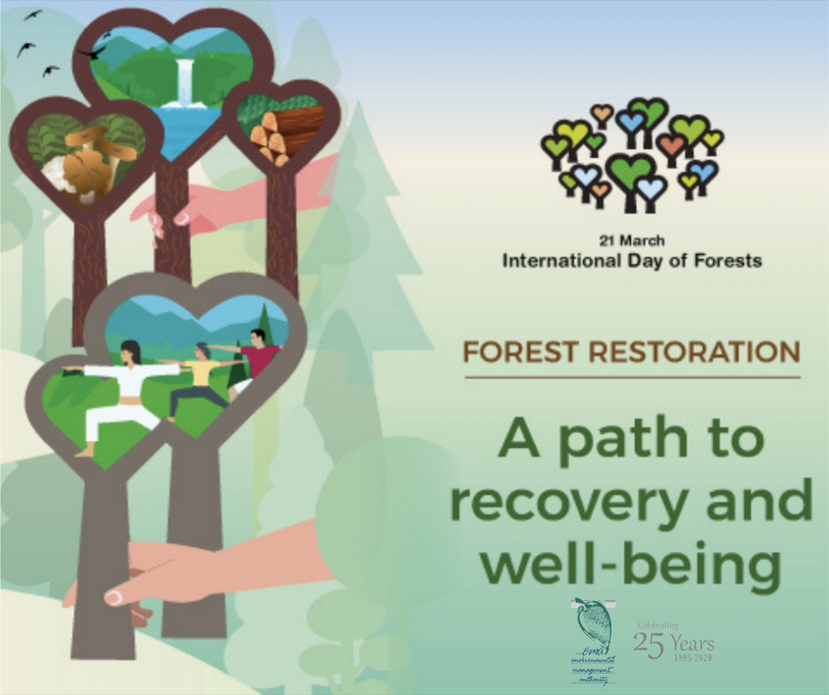 emauthority's tweet photo. Today, on International Day of Forests, we recognise our forest resources and this valuable ecosystem which is dominantly visible in Trinidad and Tobago. Conserving our forest resources ensures the well-being of us all.
https://t.co/D2WgdHgUpu #IntlForestDay  #BetterWithForests https://t.co/6Aw6BFyzEi