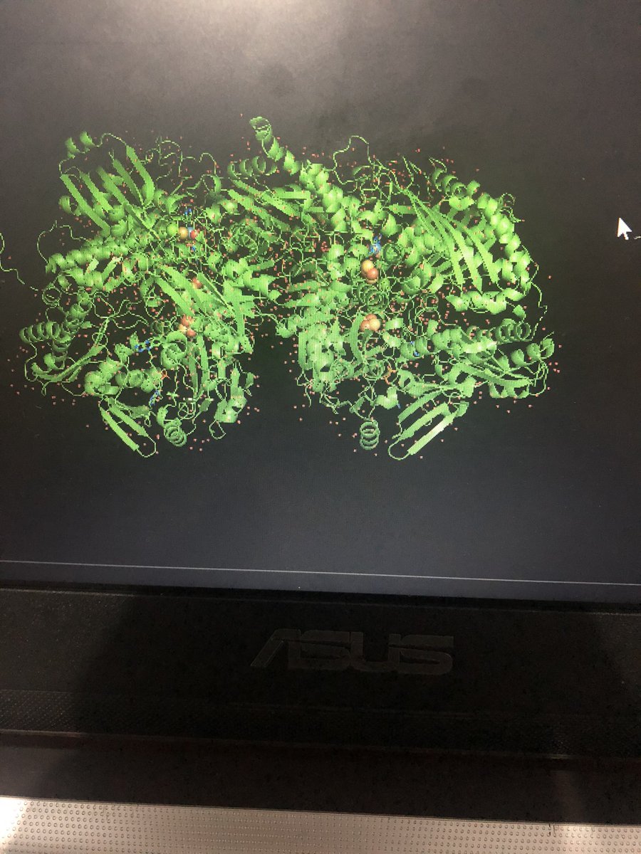 これは　a complexes between oxipurinol with xanthine dehydrogenase. I generated this structure using pymol and I got the code from #PDB どう？おやすみ💤#科学 #chemistry #学生