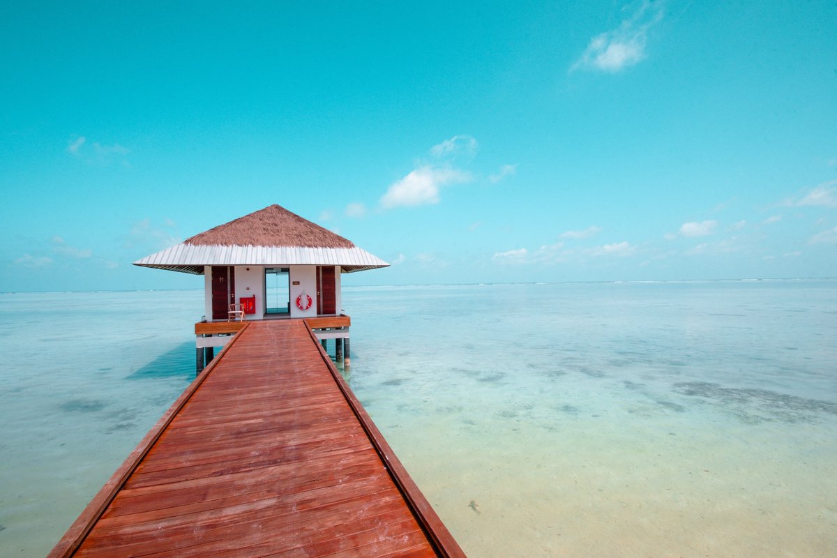 samhallphoto's tweet photo. "Let Faith be bigger than your fear."
-
#travel #vacation #holiday #travellife #travellifestyle
#Maldives #Pullman #PullmanMaldives #indianocean #island #islandlife #shark #blacktipshark #photography #travelphotography https://t.co/N5RkMNiatr