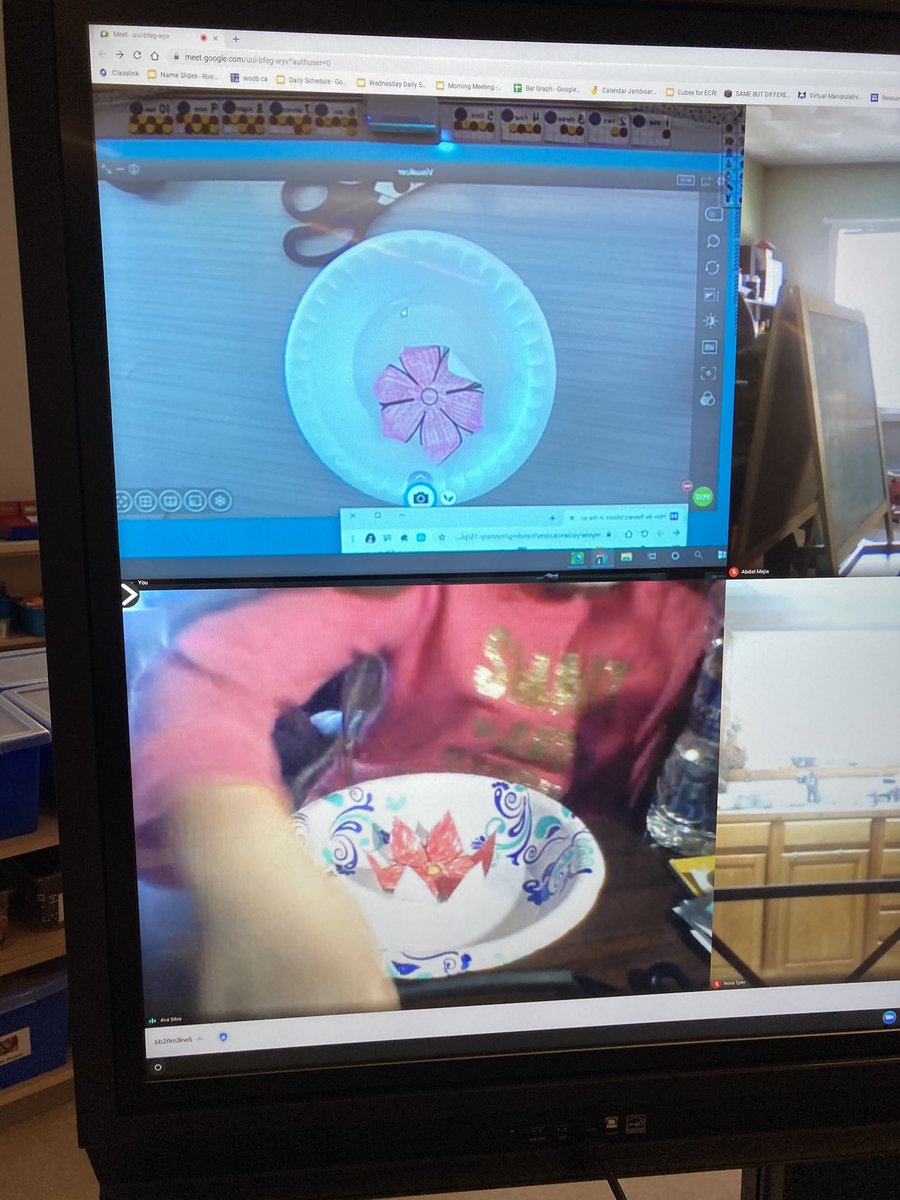 mrskullas's tweet photo. Watching flowers bloom #springishere @MulcaheySchool @Taunton_Schools @MysterySci https://t.co/604aQjG8I4