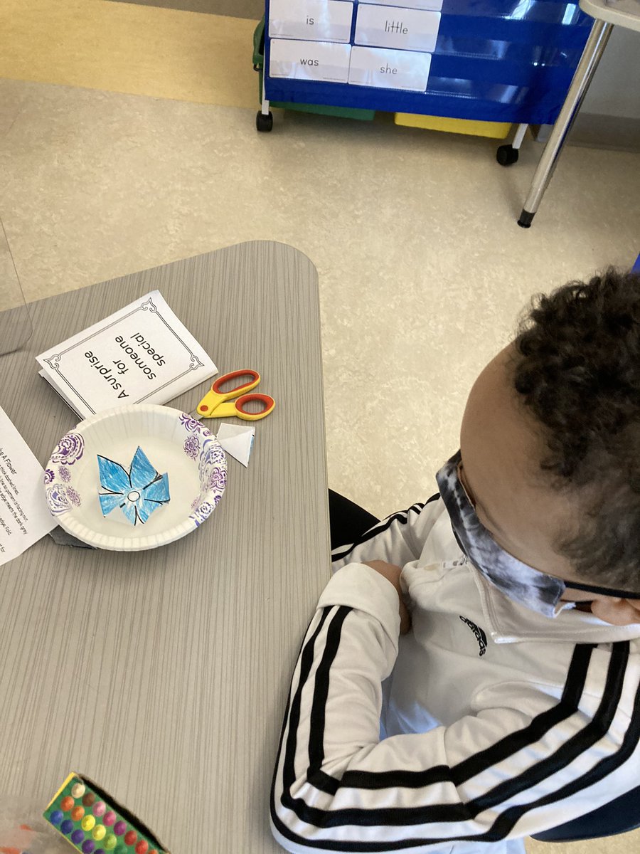 mrskullas's tweet photo. Watching flowers bloom #springishere @MulcaheySchool @Taunton_Schools @MysterySci https://t.co/604aQjG8I4