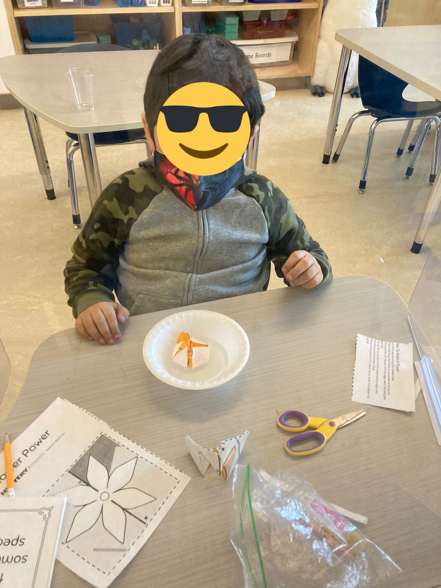 mrskullas's tweet photo. Watching flowers bloom #springishere @MulcaheySchool @Taunton_Schools @MysterySci https://t.co/604aQjG8I4