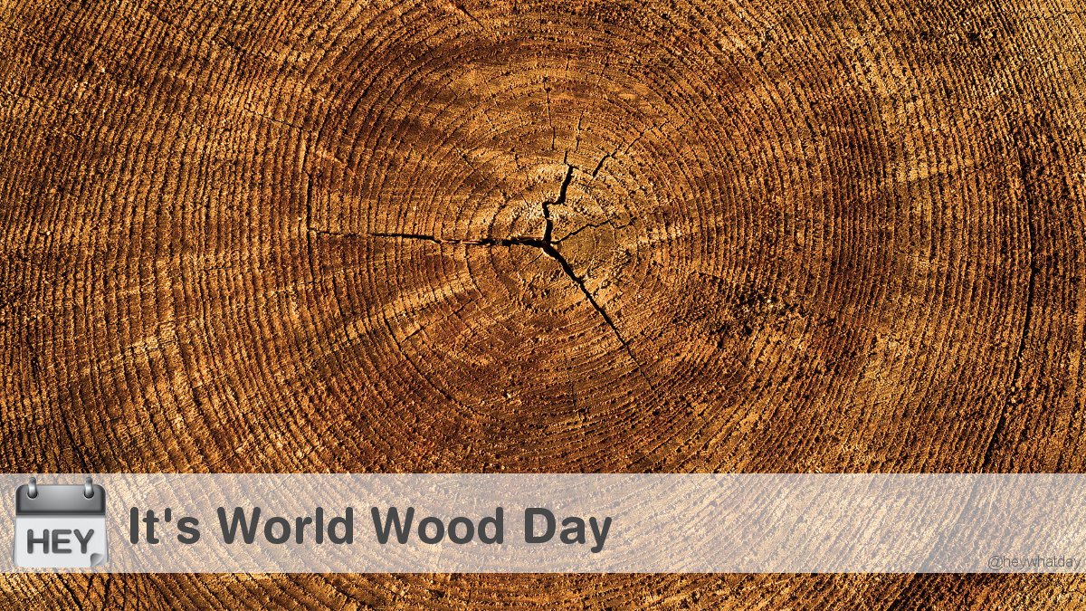 HeyWhatDay's tweet photo. It's World Wood Day!
#WorldWoodDay #WoodDay #WorldWoodDay2021 https://t.co/7kbTr8LmB4