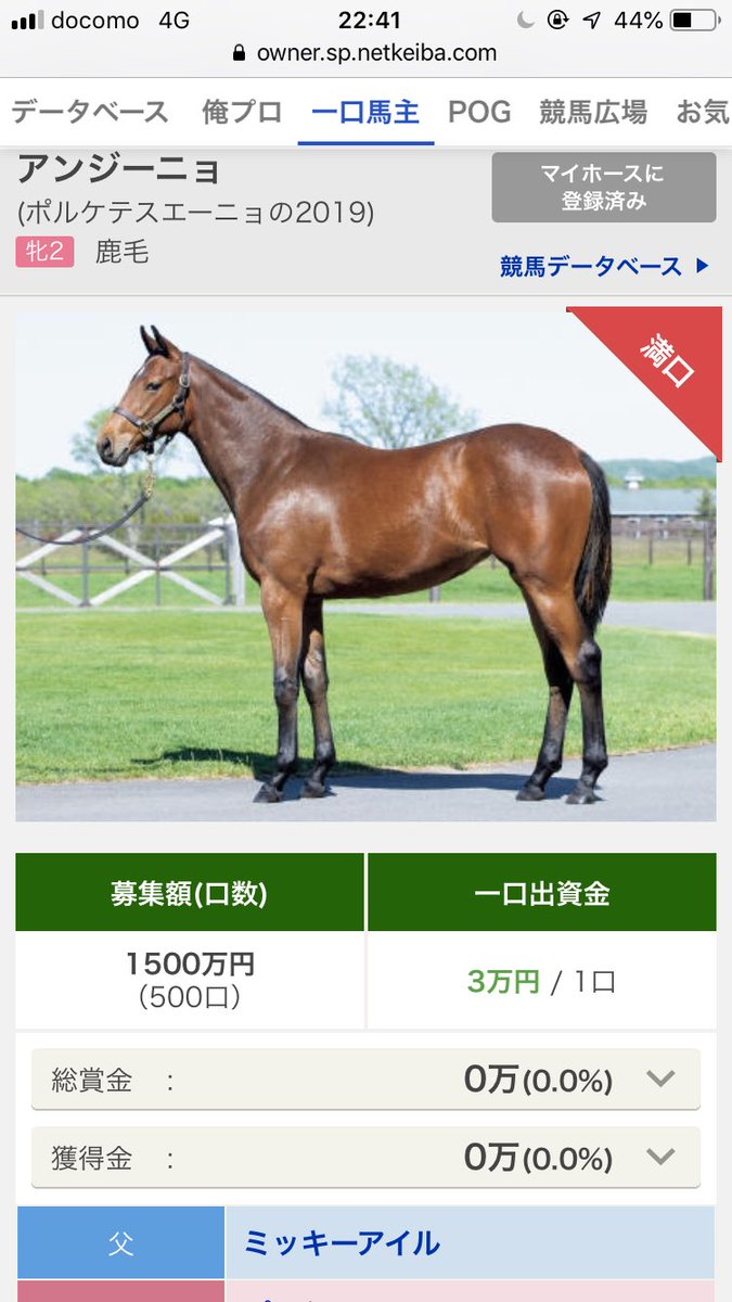 daruma1024's tweet photo. シルクホースクラブ2019年度産駒出資馬の名前が決まりました。抽選が厳しくてなかなか希望通りの馬に出資できませんが名前負けしないように頑張ってください。 https://t.co/jRvdhucJRO
