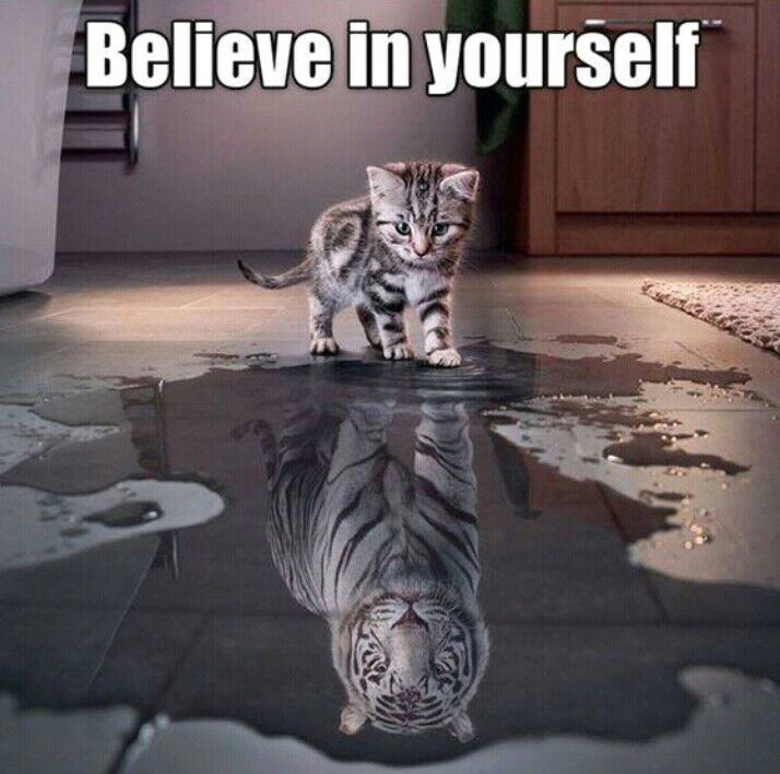 Syzdreena1's tweet photo. #BizFromHomeProgramme2.0 
#startstrong2021 #glory2021 
#FinalLap2020 #SBGEmpire #SBGAcademy
 #GenesisProjectV1 #GNAcademy #gnasupreme #genesisnetworkacademy
#gnav2r https://t.co/s3NYKbwCey