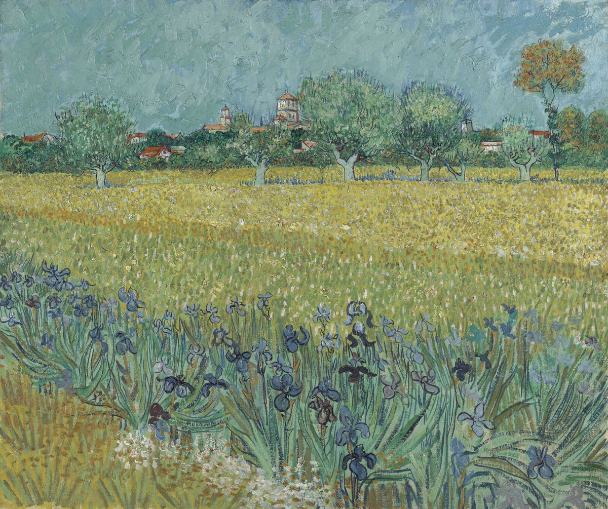 Vincent van Gogh, Field with Irises near Arles, 1888, oil on canvas, Van Gogh Museum, Amsterdam.