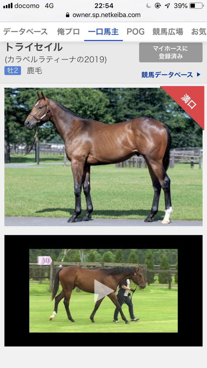 daruma1024's tweet photo. キャロットクラブ2019年度産駒出資馬②の名前が決まりました。
2頭とも頑張ってください。 https://t.co/uQzMJe5Xf4