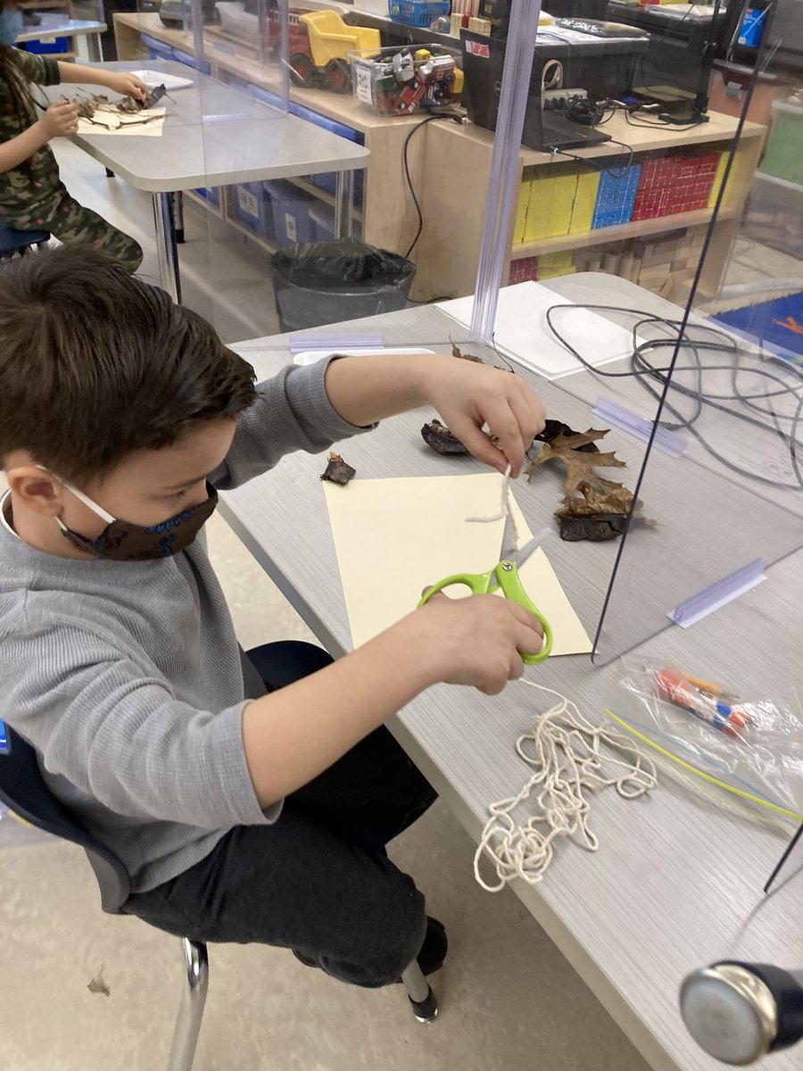mrskullas's tweet photo. Collecting items and making a bird nest. @MulcaheySchool @Taunton_Schools @MysterySci https://t.co/l4YPTCKOWS