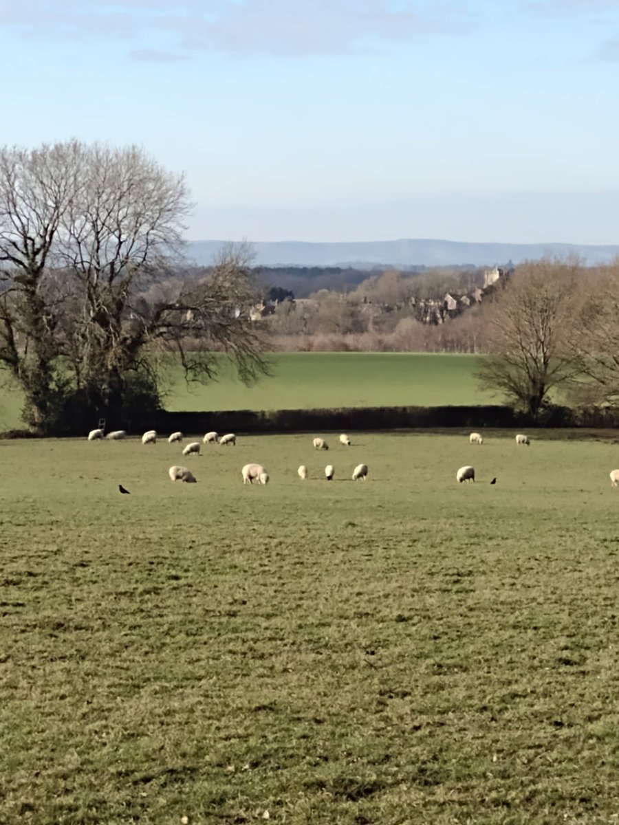 sce2hcg's tweet photo. Today @scft_ccs #CCAS have started our #CMThreePointFourChallenge in support of @Comm_Matters Between us we will be walking 3.4km each day from now to 3rd April. First up Belinda has been out in the Sussex countryside. Links to our Justgiving page will come soon #AAC @scft_ahp https://t.co/5DE49FMop3