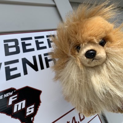 Gingerphia_'s tweet photo. #NewProfilePic https://t.co/ieIIuoqjnk