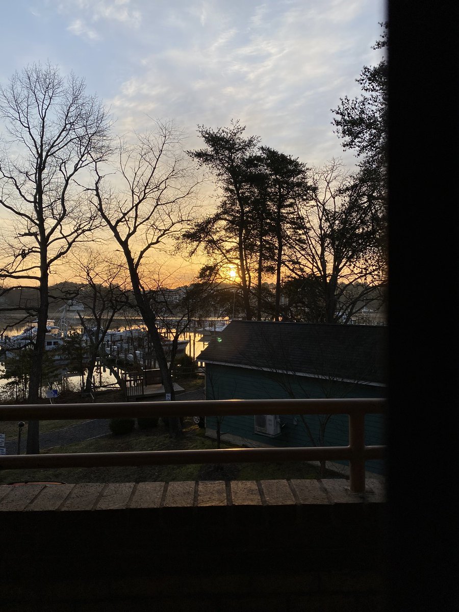 Dia Adams tweet media