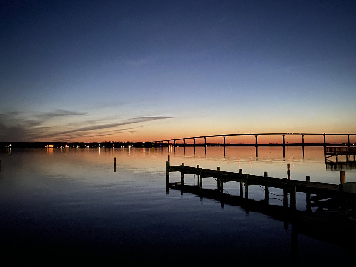 Dia Adams tweet media