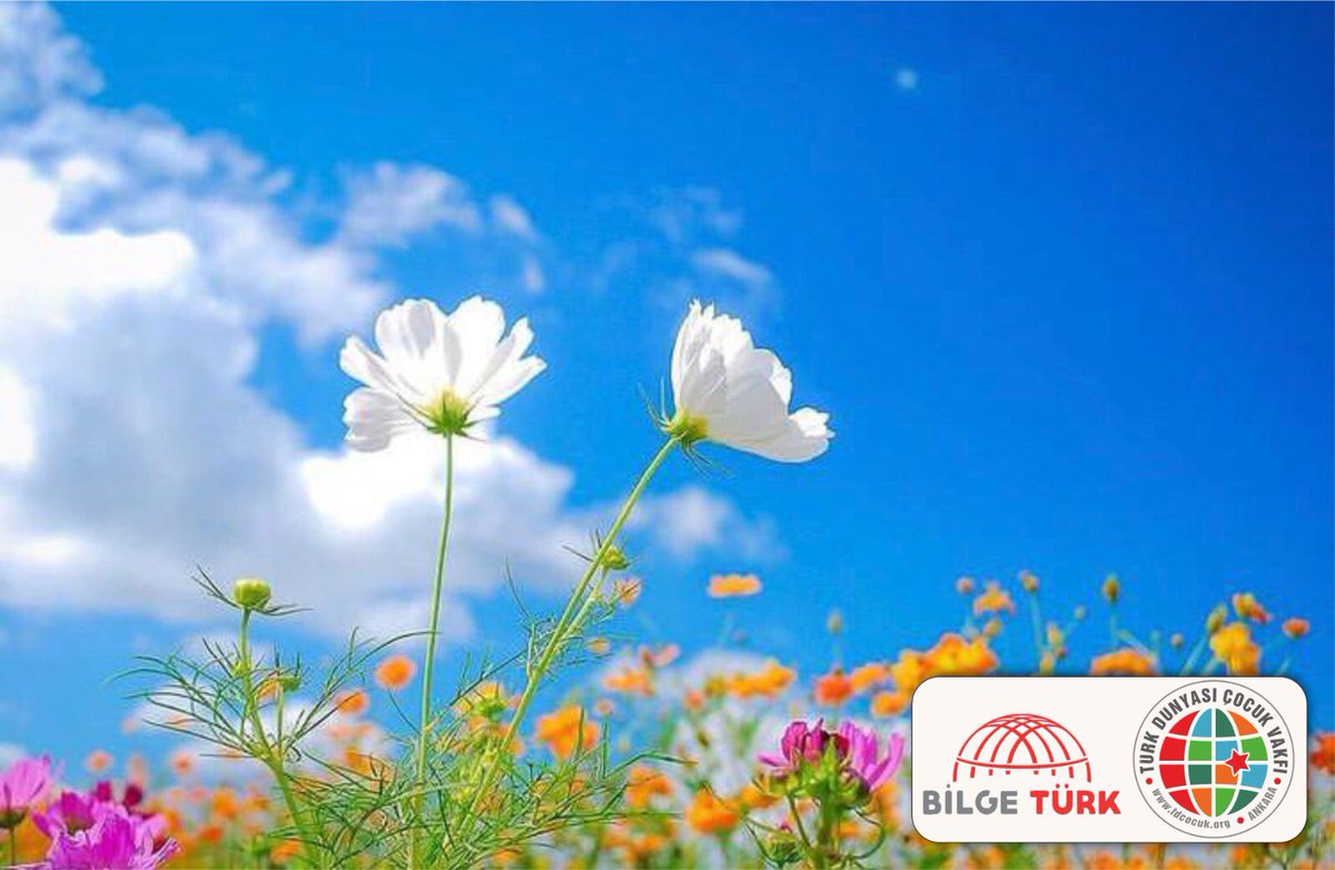 tdcvakfi's tweet photo. Baharı, uyanışı, dirilişi müjdeleyen #Nevruz, Türk dünyasına ve tüm insanlığa bereket, huzur ve sağlık getirsin.
#NevruzBayramı mız kutlu olsun.
@tdcvakfi https://t.co/07U49wiSSC