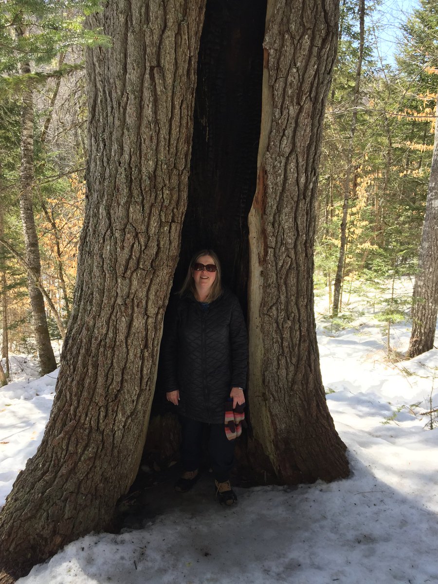 Had to go back to Parlee Brook Amphitheater for one last time.