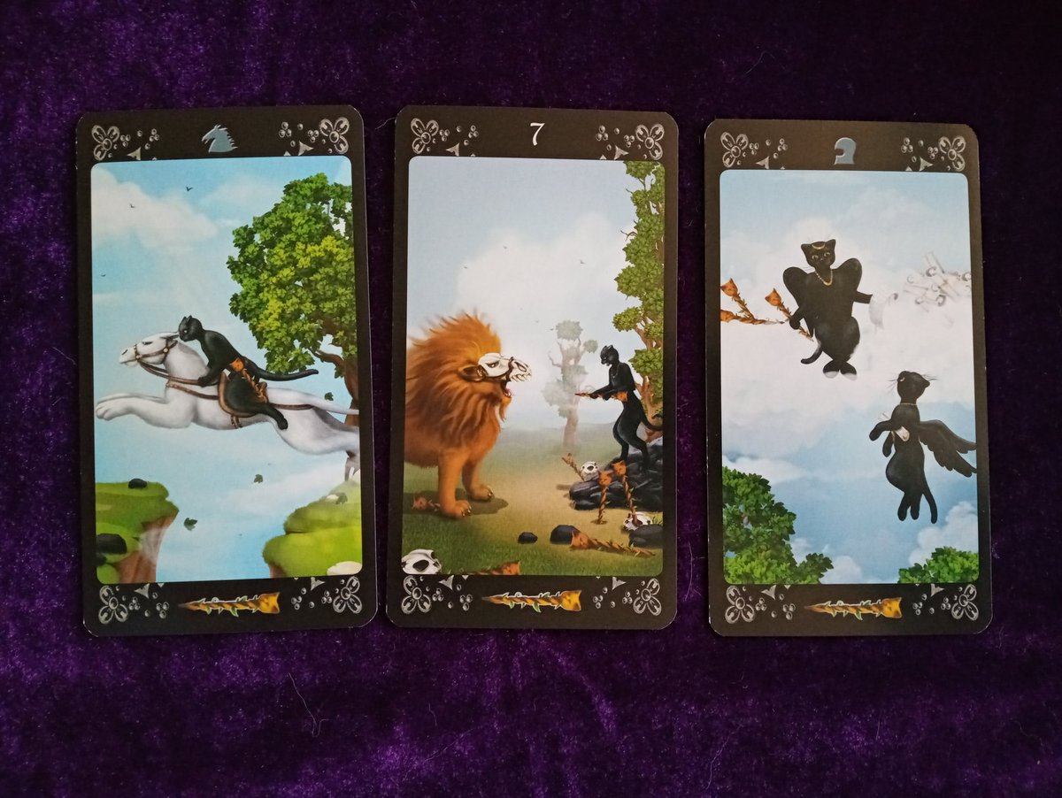 tigerlex333's tweet image. Follow the black cat.
Focus on your course. Face challenges with strength and keep a hold of your beliefs. Not everyone will understand, but your attitude will command respect.
#commandrespect 
#attitude