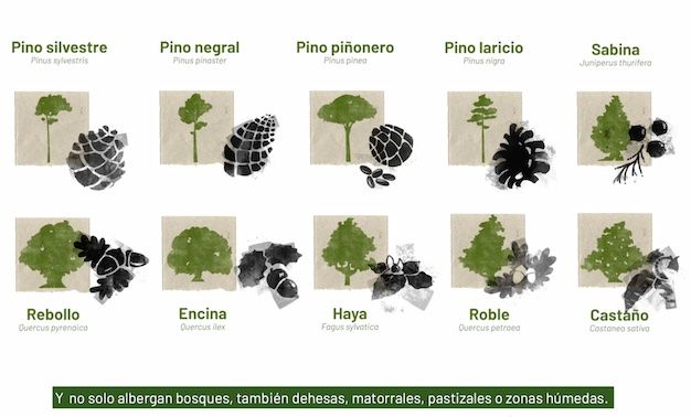 OsboDigital's tweet photo. “Los montes de Castilla y León” en una serie de animación https://t.co/3DbiKYLNTk https://t.co/TY0ms9gpRs