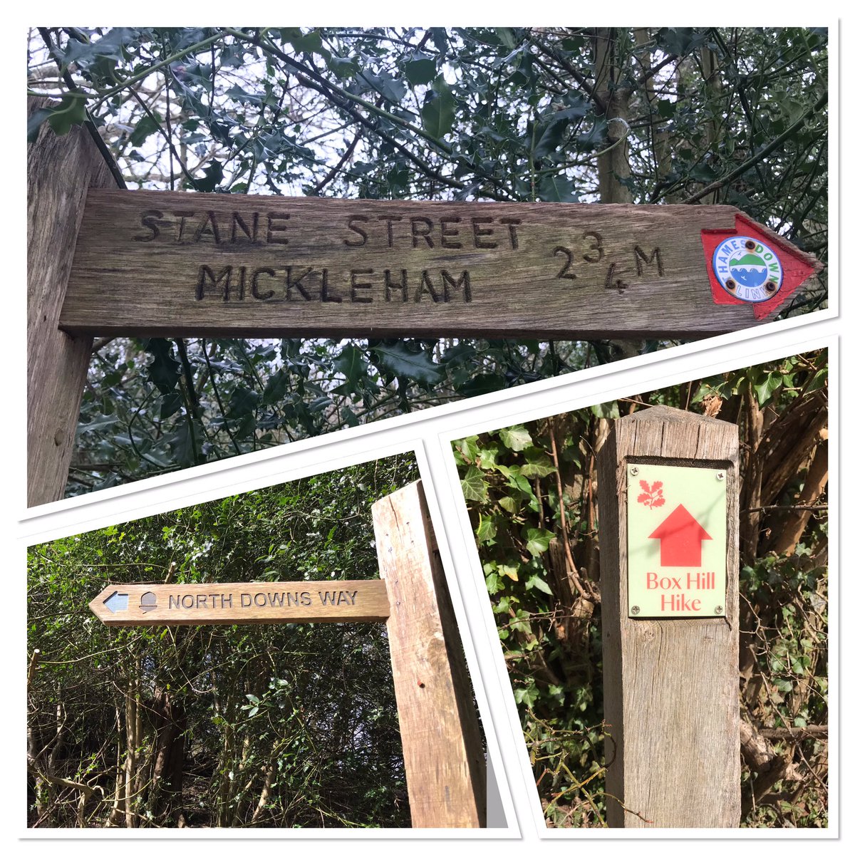 Whiffenpuff's tweet photo. One run, three trails routes joined together to create one continuous route and the zigzag thrown in for fun = 19 miles and 3396 feet of elevation. 👌🏻 C25K seems to be doing the trick 🥴 #nhs1000miles #ThamesDownLink #BoxhillHike #NorthDownsWay https://t.co/1DVwufXUyB