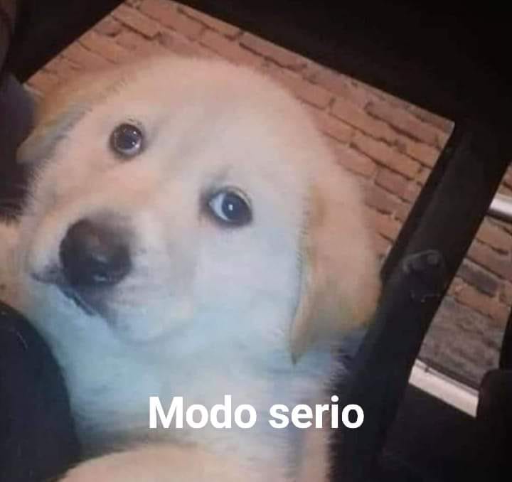 Yo a punto de entrar a mi casa después del after: