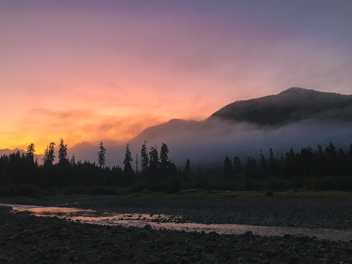 ForestServiceNW's tweet photo. “The earth has music for those who listen.”

—William Shakespeare

 #ShakespeareSunday https://t.co/x5QWY1SRke