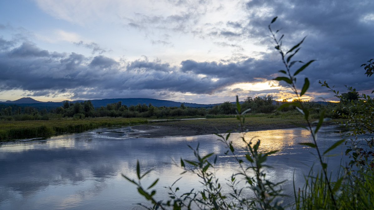 ForestServiceNW's tweet photo. “The earth has music for those who listen.”

—William Shakespeare

 #ShakespeareSunday https://t.co/x5QWY1SRke