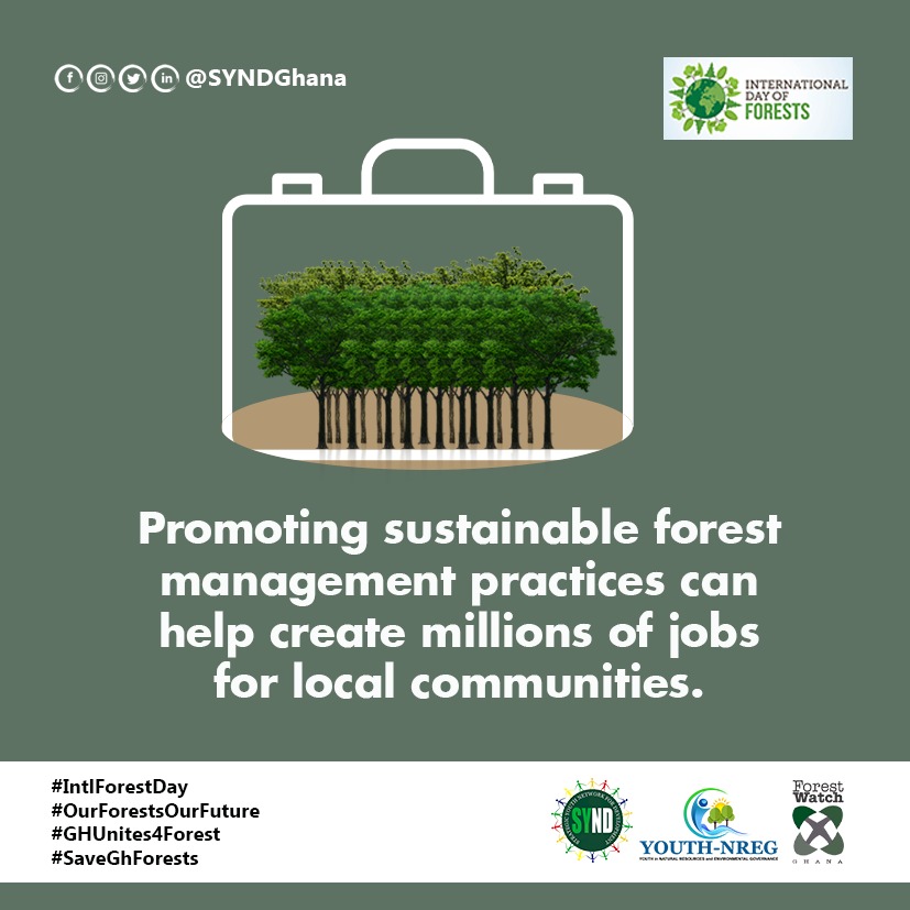 maud_fugar's tweet photo. This is a collective responsibility. Let's project our forest! #IntlForestDay #OurForestOurFuture #GHUnites4Forest #SaveGhForest
@ForestWatchGh @Fcghana2020 @FAOAfrica @mestighofficial @ecocareghana https://t.co/ffoGo6mBN7