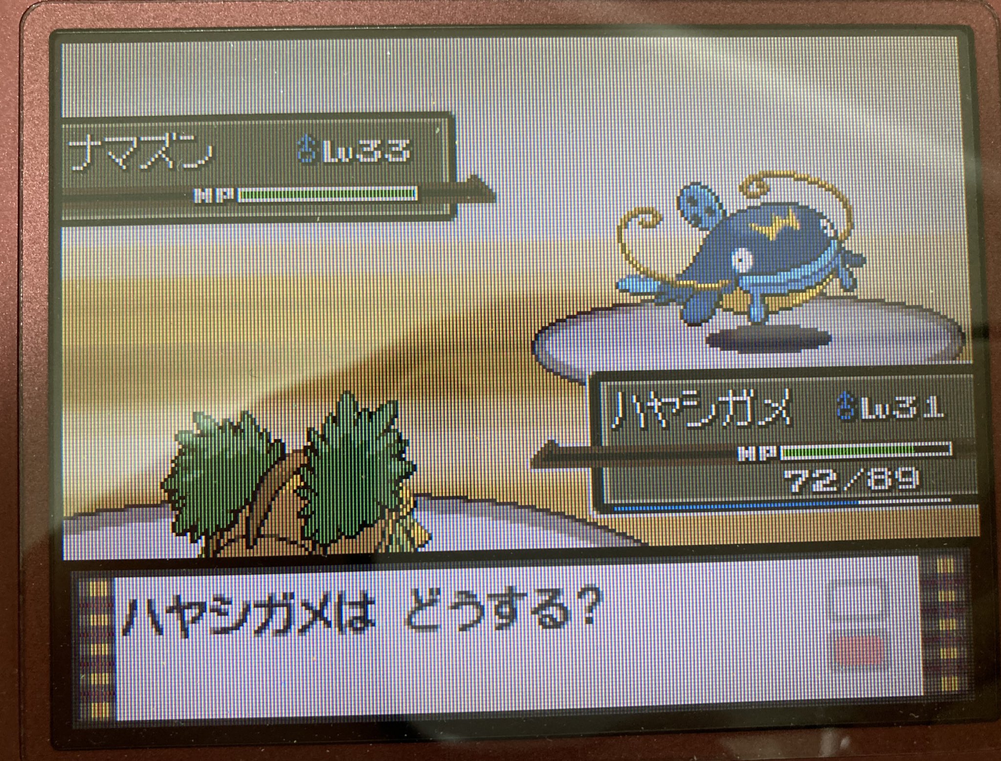 なん ナマズンでかくね T Co Pf0popeddb Twitter