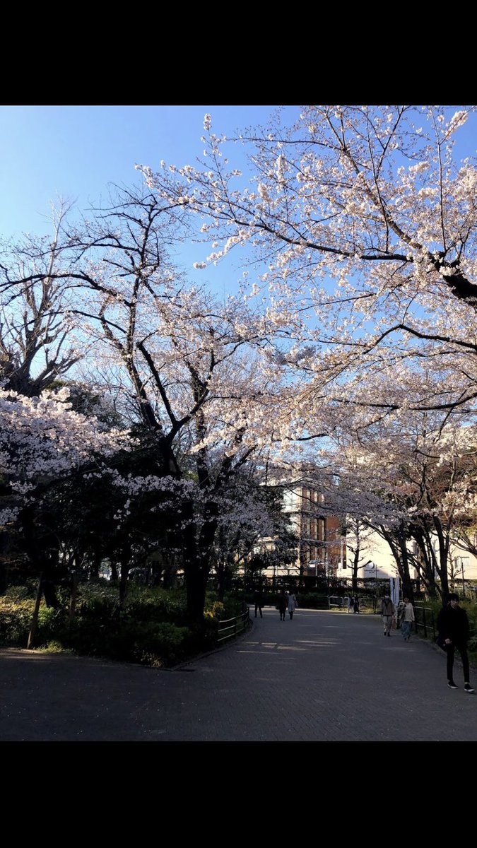 gakushuin_tri's tweet photo. こんばんは！

先日の卒業式で2人の４年生が卒業され、、、
新しい体制で頑張っていきます！！

と、ここで！
3/22 8:00-10:00
3/23 8:00-10:00
3/27 8:00-10:00
3/30 8:00-10:00
3/31 8:00-10:00

大学プールにて、練習をしています！見学、体験等したい方はDM下さい！！待ってます！

#春から学習院 https://t.co/xBfF7Qi21P