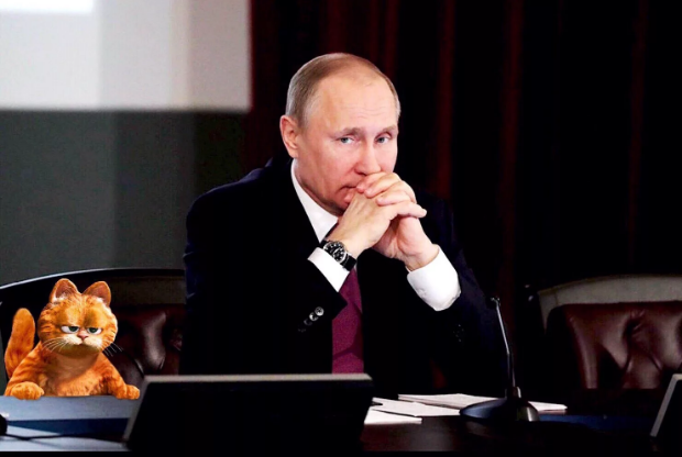 Кот Мотя tweet media