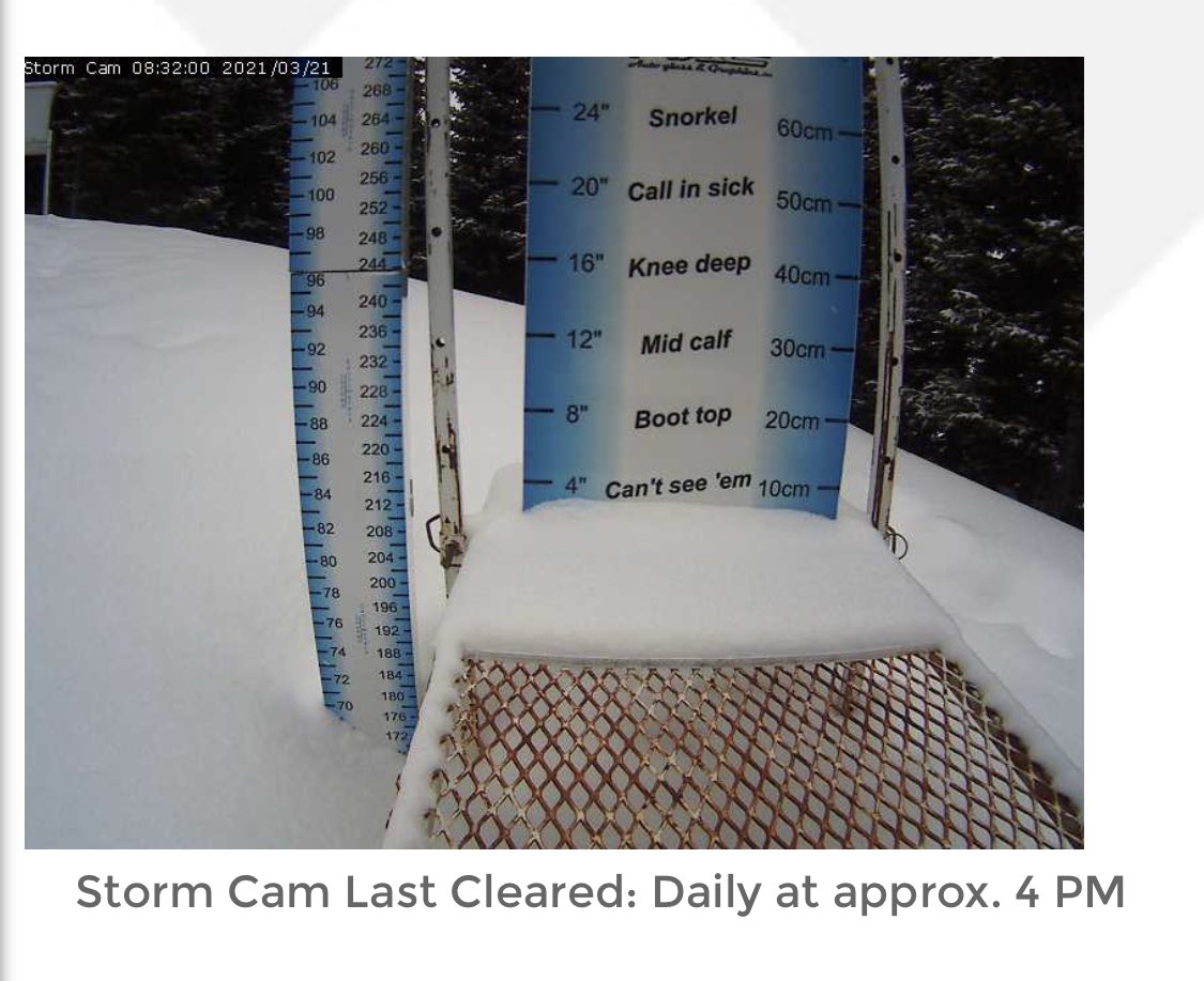 lifesamountain's tweet photo. It finally snowed again! More please! #toppeakcastlemountainresort #mackenzietoppeakcontest #letitsnow https://t.co/q7jlVux9Tx