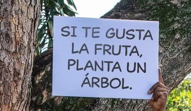 facunda08's tweet photo. PLANTA 🌳🌳🌳🌳POR FISSSS https://t.co/GbfCPhqhgM