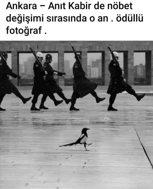 DOĞAN ABAKA (@doganabaka) on Twitter photo 