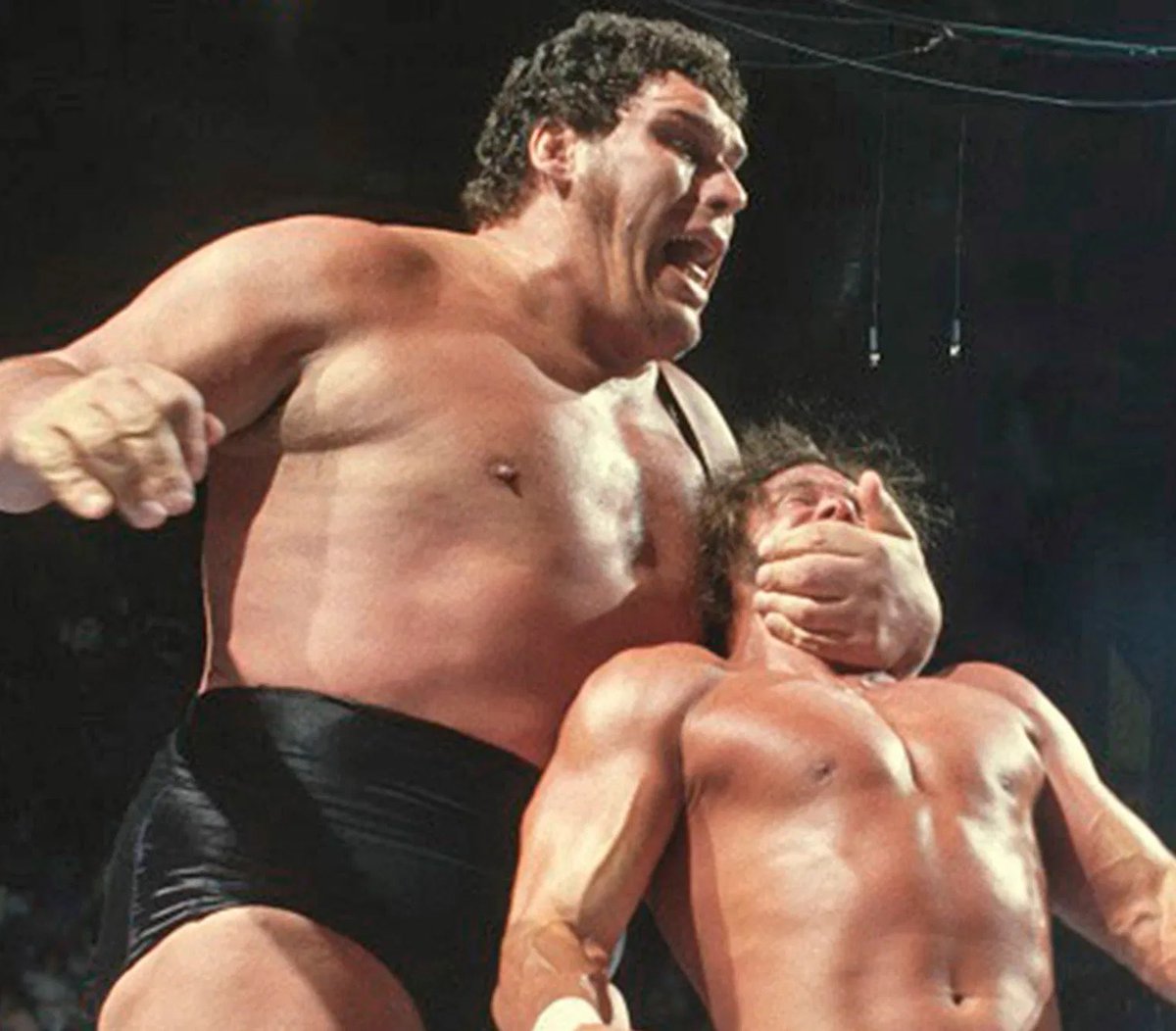 ColossusNick's tweet photo. It’s hard to even comprehend the size of Andre. 

There will never be another. 

#VoteAndre https://t.co/vEOT0yHZGe
