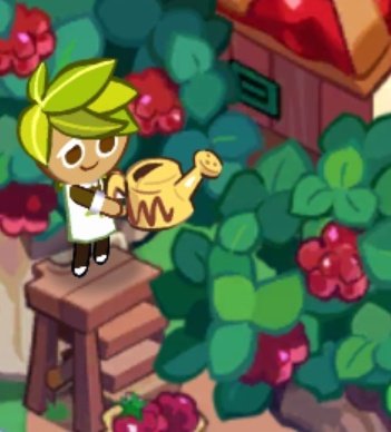 วันนี้ดอกราสเบอร์รี่ออกผลแล้วล่ะครับ ราสเบอร์รี่ลูกใหญ่ แล้วก็สวยงามมากๆ พวกเธอเองก็พยายามเข้ากับสิ่งที่ทำอยู่ ผลตอบแทนของความพยายามมันน่าภูมิใจมากเลยนะครับ 😄