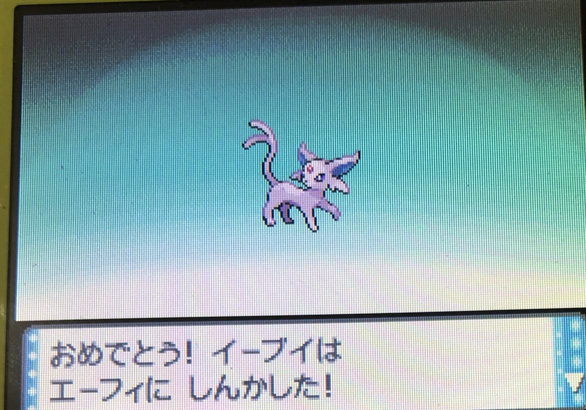 レゲェパンチ ポケモン 本日の成果 17匹 目玉 可愛いポケモンが多かった タマザラシえぐいて ようやくイーブイ全種類そろえました ポケモン ダイパ 毎日ポケモンゲットだぜ