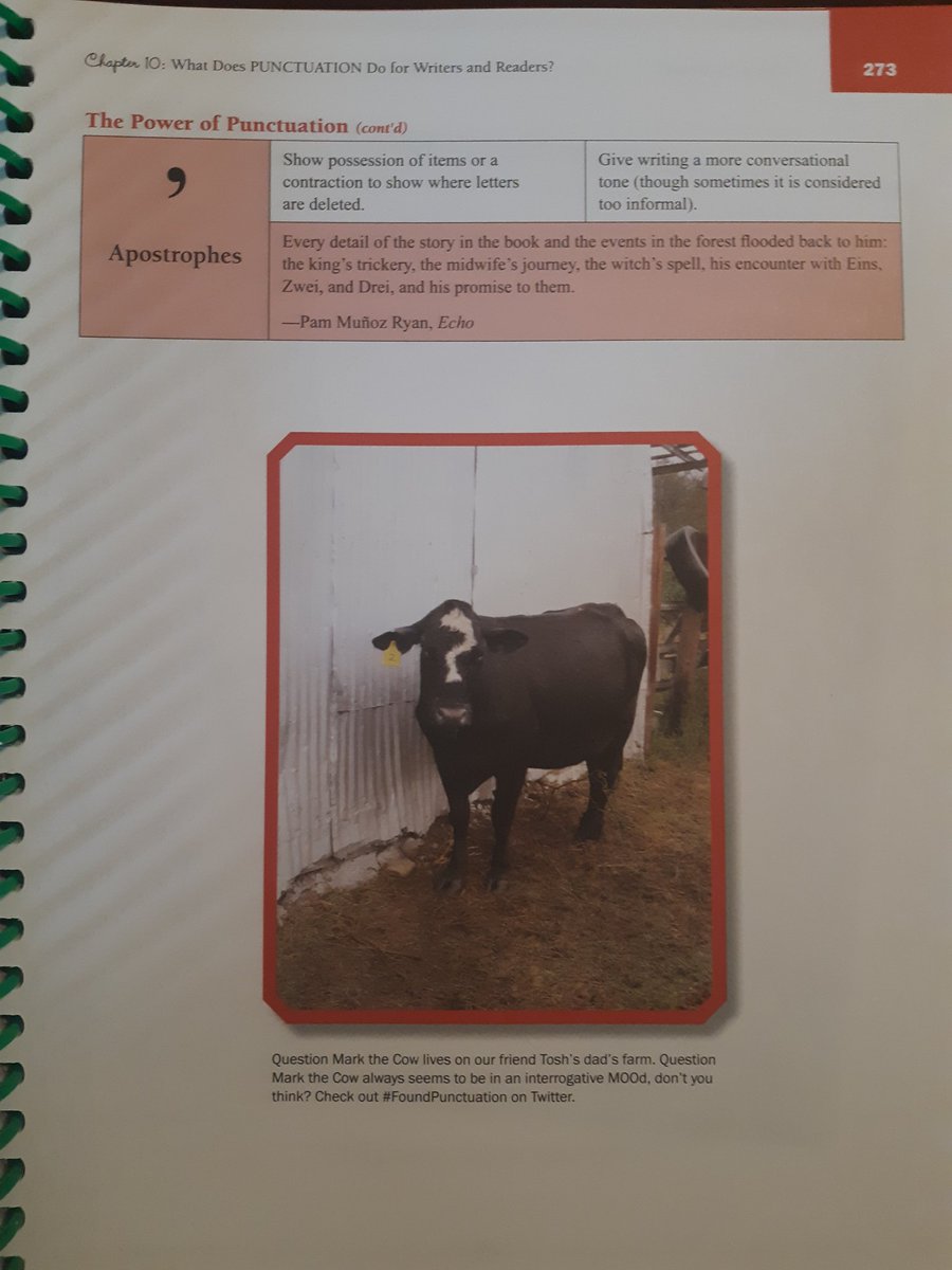 learningleech's tweet photo. @ToshMcGaughy, found your family's cow in the book! #PatternsofPower #FoundPunctuation https://t.co/AEwhr0dQRg
