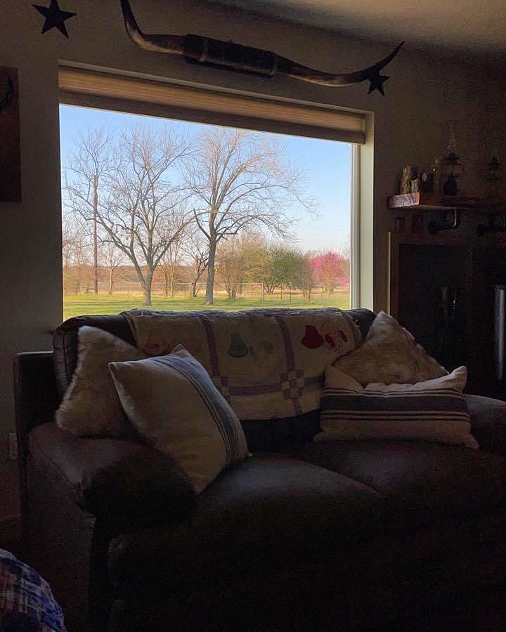 topqueenhouse's tweet photo. My morning views!! #morning #Sunday #views #spring #Texas https://t.co/IPuRLZZA7h
