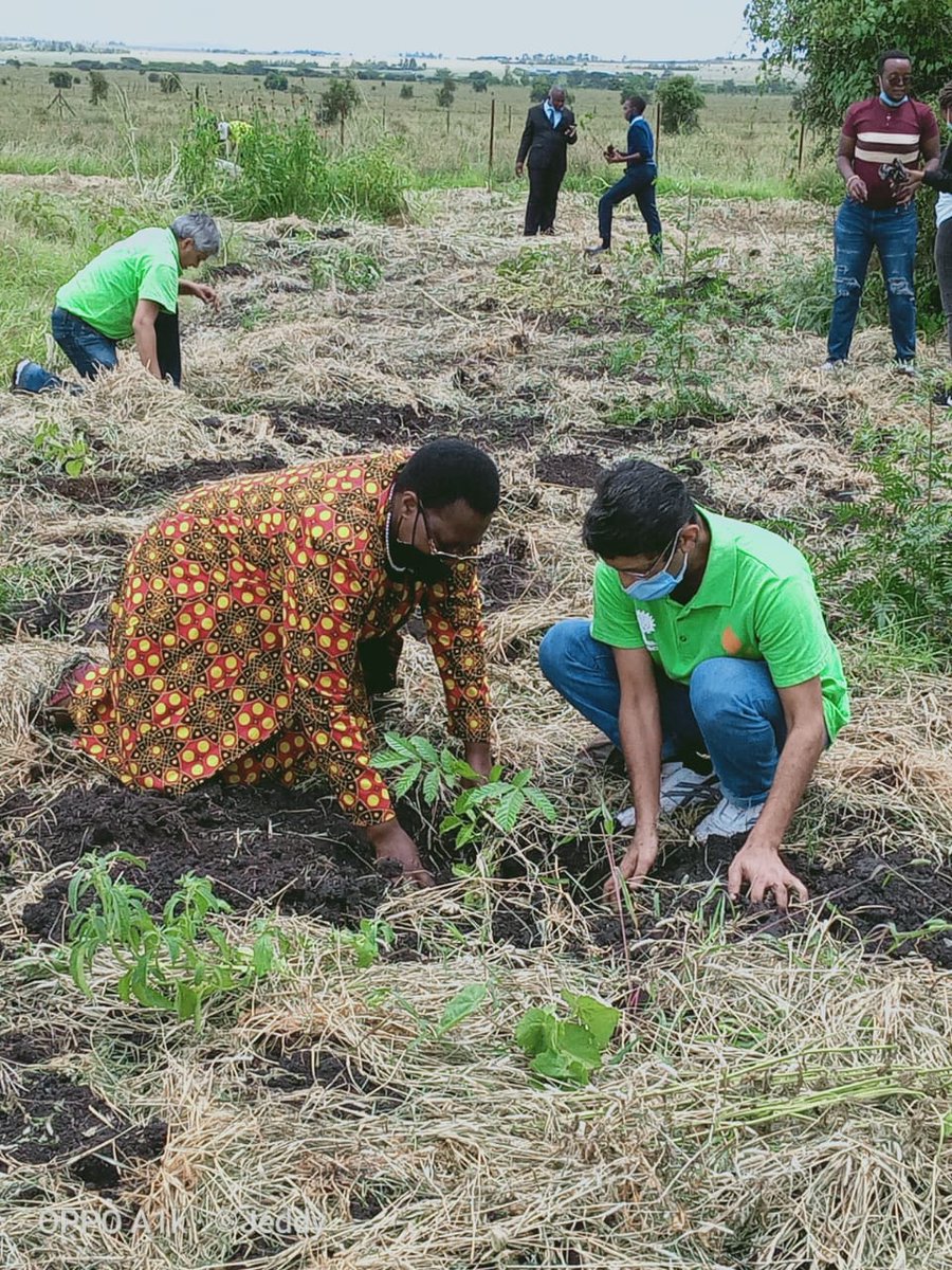 kenya_trust's tweet photo. #InternationalDayOfForests #IDF2021Ke #ForestRecoveryForWellbeing #TreesForBetterLives #GreenChampionNews #ClimateAction
@KajiadoGov
Inter-generational partnership is key to climate action. young people need to be supported towards climate action #ParisAgreement https://t.co/lvdOr9A7iR