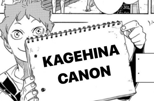 chelhq's tweet photo. @kagehina_boke MY FUCKING GODKEKDKDMDJSJDJ https://t.co/oxIIGezSny