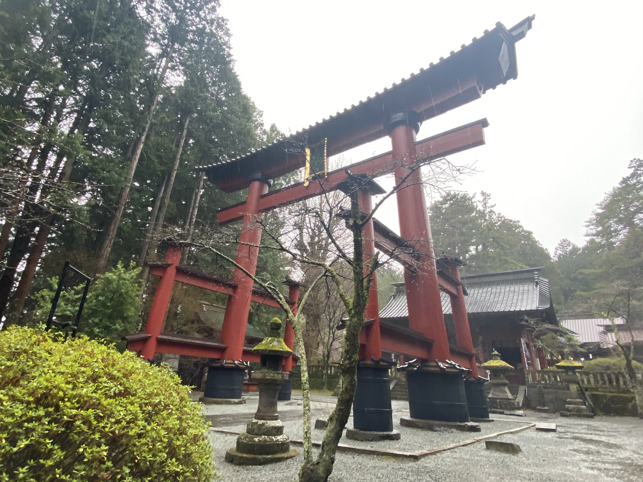金運の神様コンサルタント美子 Hd1vd0m8yzzd1ul Twitter