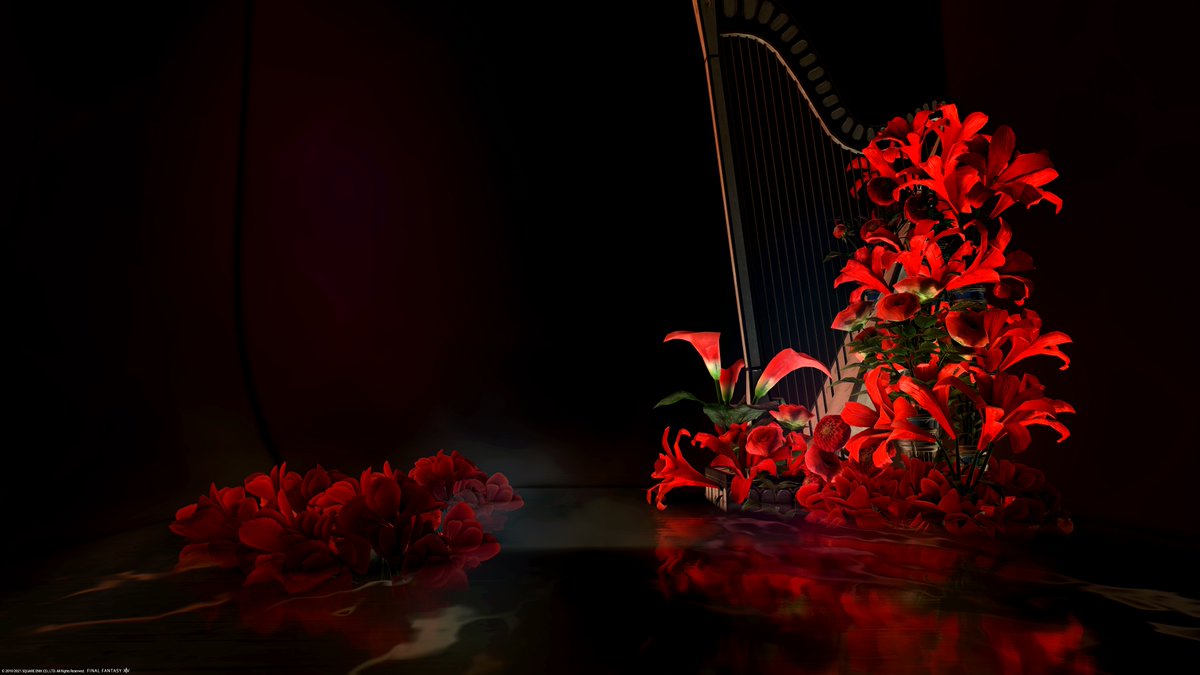 Melina R 揺らぐ水面への映り込みを楽しむ撮影スタジオ 水面残像 が完成しました 1満月の夜 2深紅の生け花 3流星のしっぽの３種類 2と3にはベット仕込み有 自由に撮影可能 エレdc Tonberry ラベ18 リリーヒルズ1 63号室 タグ Studio Placious