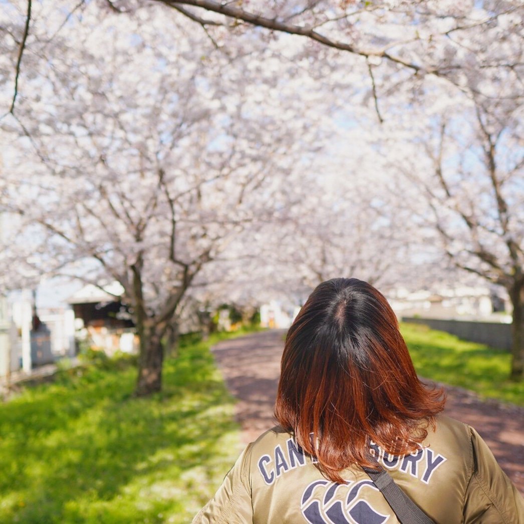 matu_yan's tweet photo. これは去年の写真！
天気が悪くて桜の写真撮れてない🤔
まだ散らないでね〜
#お写んぽ
#日常風景
#桜写真
#季節を感じる
#過ぎていく時間を刻んでいく
#写真好きな人と繋がりたい
#写真撮ってる人と繋がりたい
#キリトリセカイ
#ファインダー越しの私の世界
#幸せな瞬間をもっと世界に https://t.co/f7yLgCxpk5