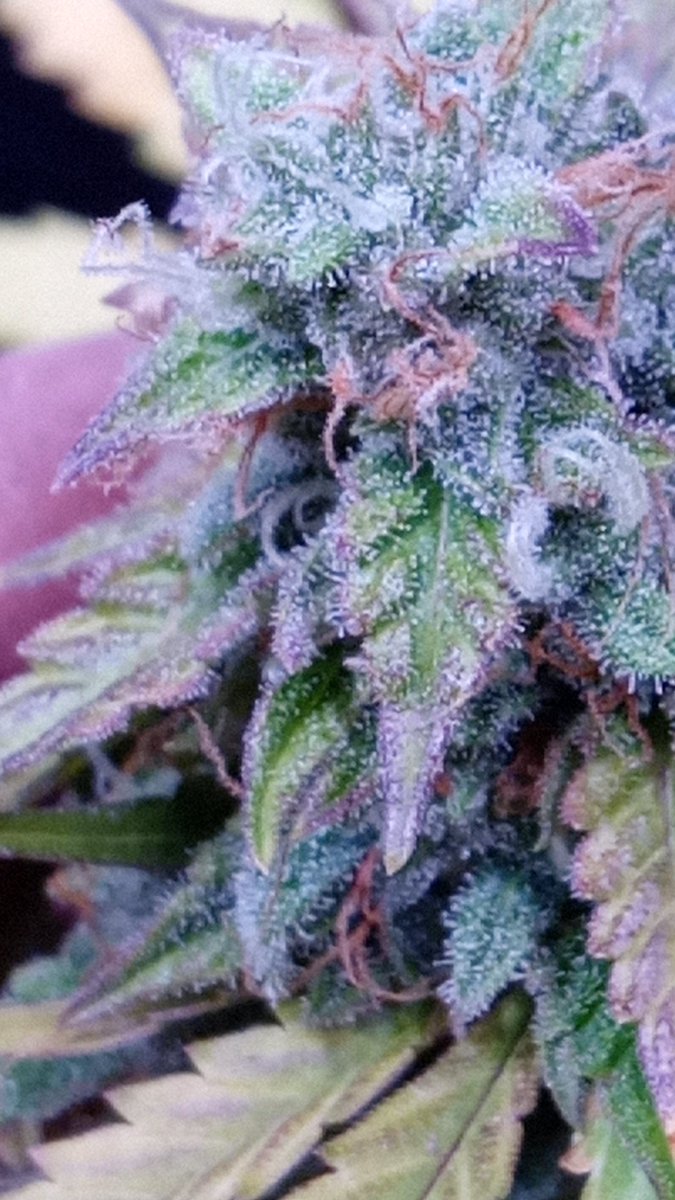 Getting closer with this 1