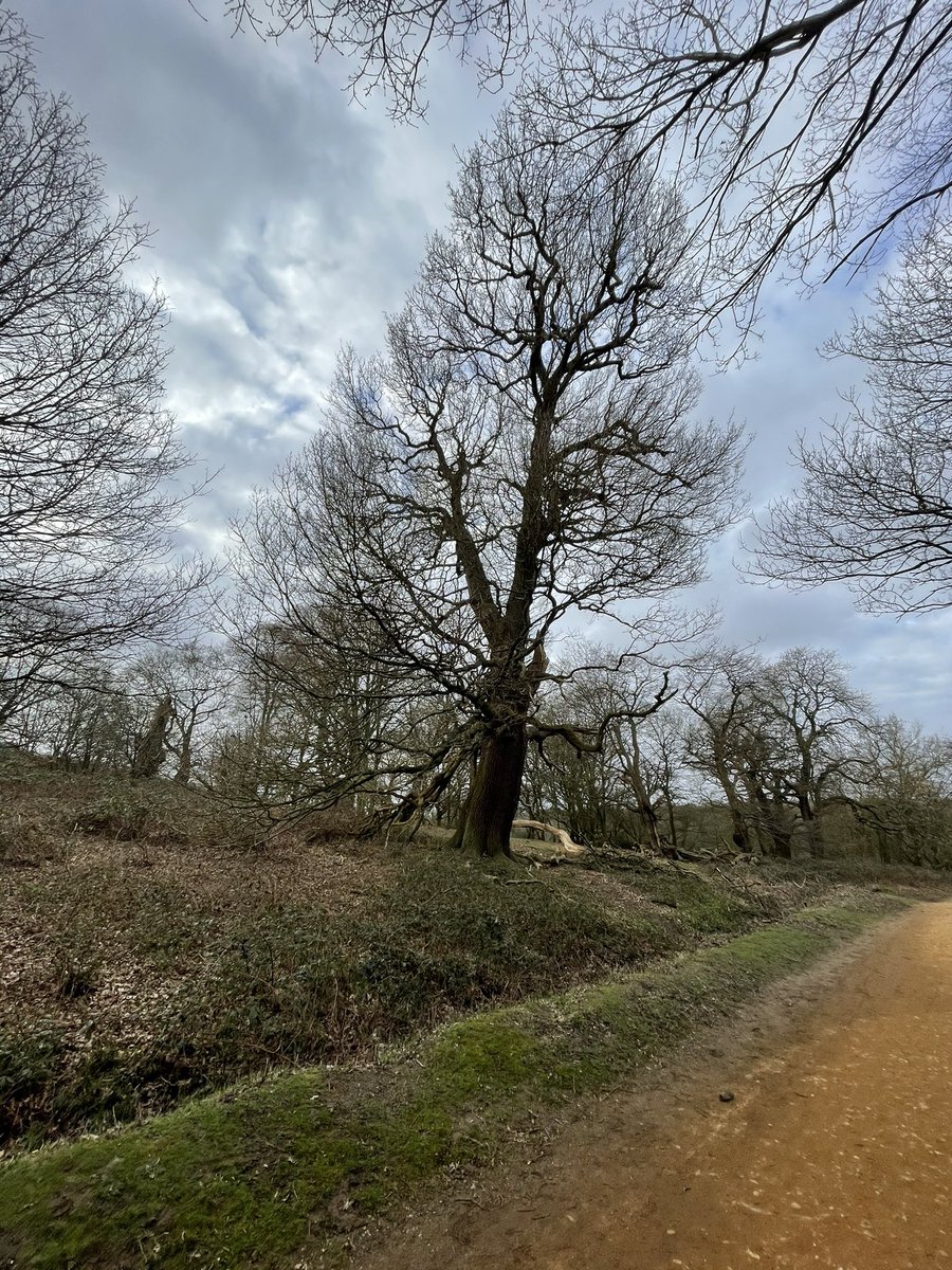 ALASTAIR CAMPBELL tweet media