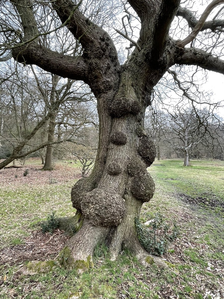 ALASTAIR CAMPBELL tweet media