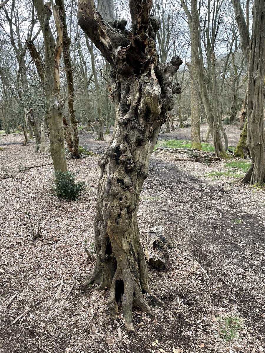 ALASTAIR CAMPBELL tweet media