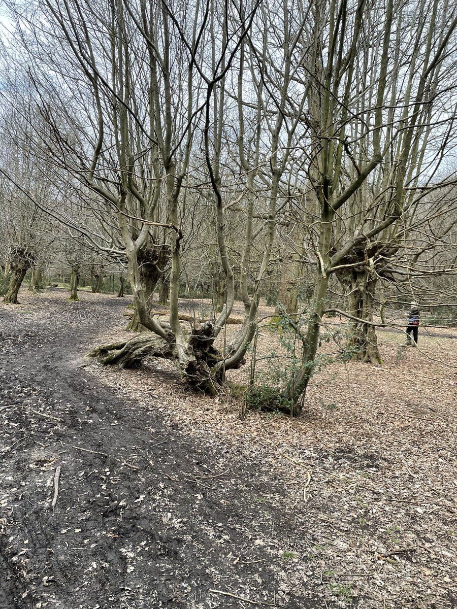 ALASTAIR CAMPBELL tweet media