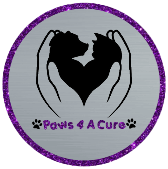 Paws 4 A Cure tweet media